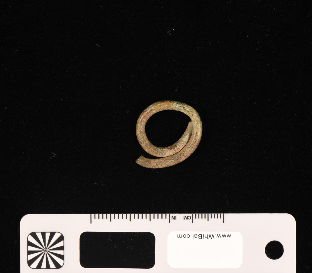 anello (PERIODIZZAZIONI/ PROTOSTORIA/ Età del Bronzo)