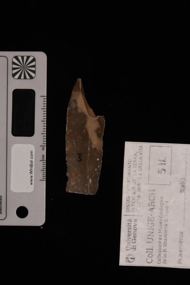 punta (PERIODIZZAZIONI/ PREISTORIA/ Neolitico)