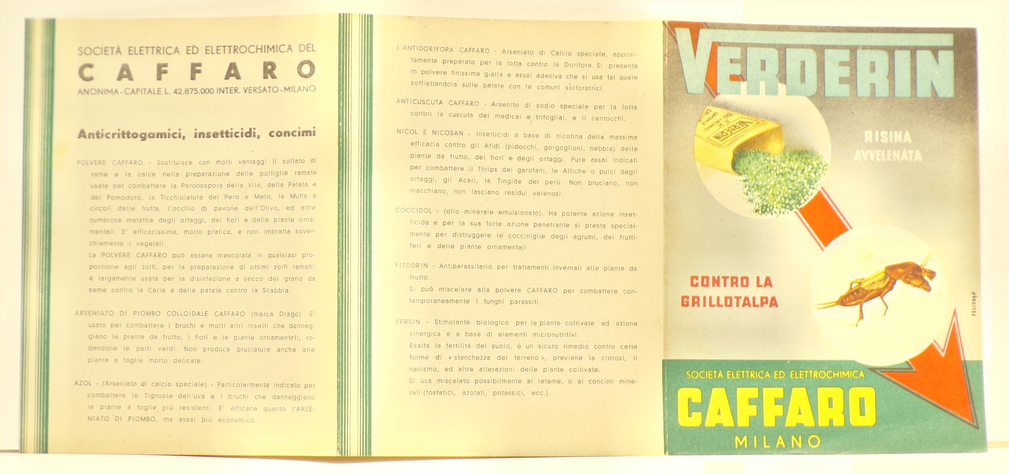 Verderin risina avvelenata contro la grillotalpa, Entro tondi, in sovraimpressione sopra freccia rossa diagonale, confezione aperta di Verderin con risina rovesciata a terra e immagine di grillotalpa (Volantino) - ambito milanese (metà XX)