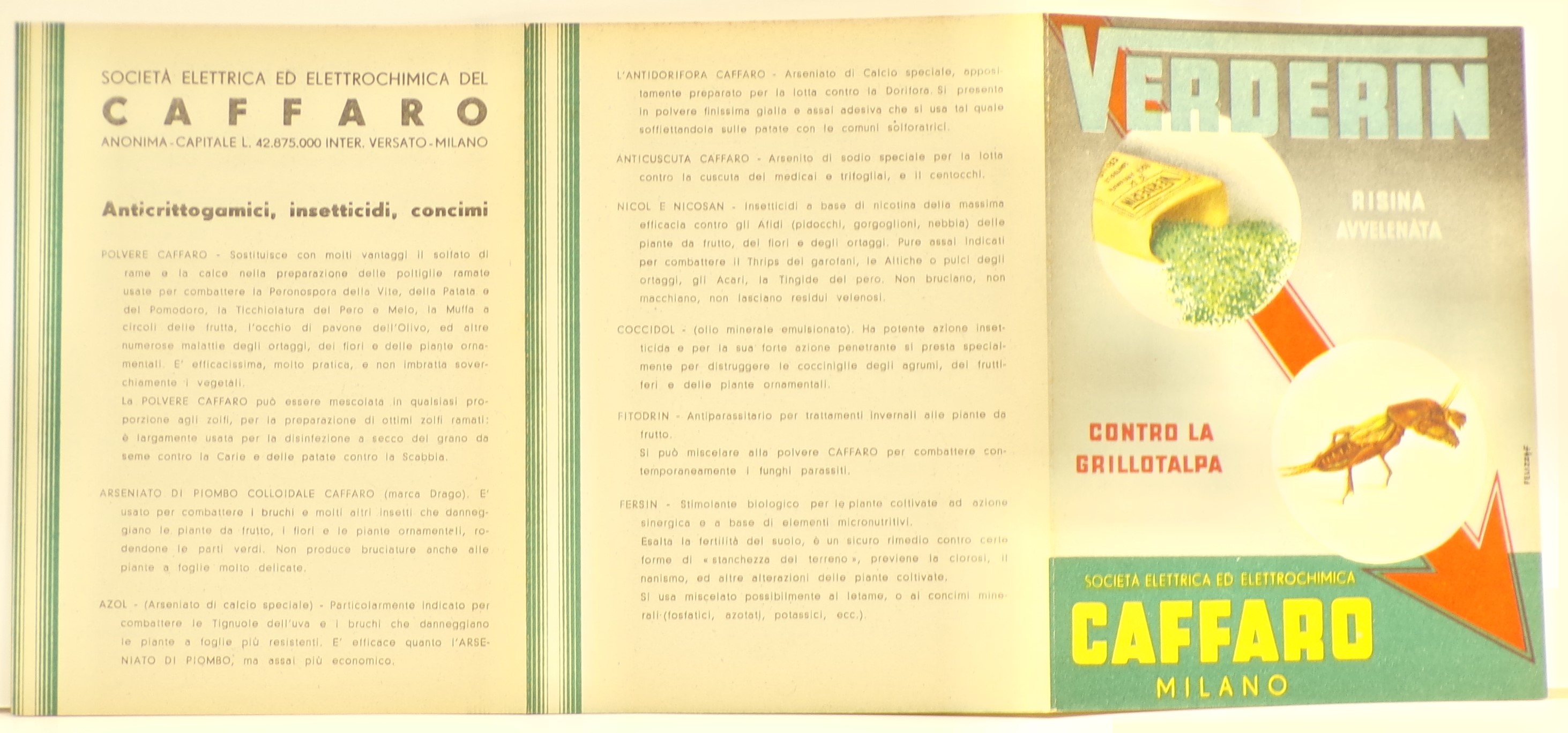 Verderin risina avvelenata contro la grillotalpa, Entro tondi, in sovraimpressione sopra freccia rossa diagonale, confezione aperta di Verderin con risina rovesciata a terra e immagine di grillotalpa (Volantino) - ambito milanese (metà XX)