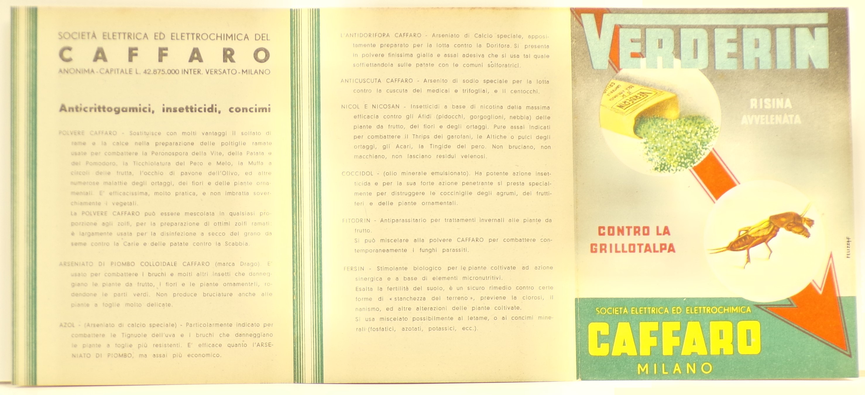 Verderin risina avvelenata contro la grillotalpa, Entro tondi, in sovraimpressione sopra freccia rossa diagonale, confezione aperta di Verderin con risina rovesciata a terra e immagine di grillotalpa (Volantino) - ambito milanese (metà XX)