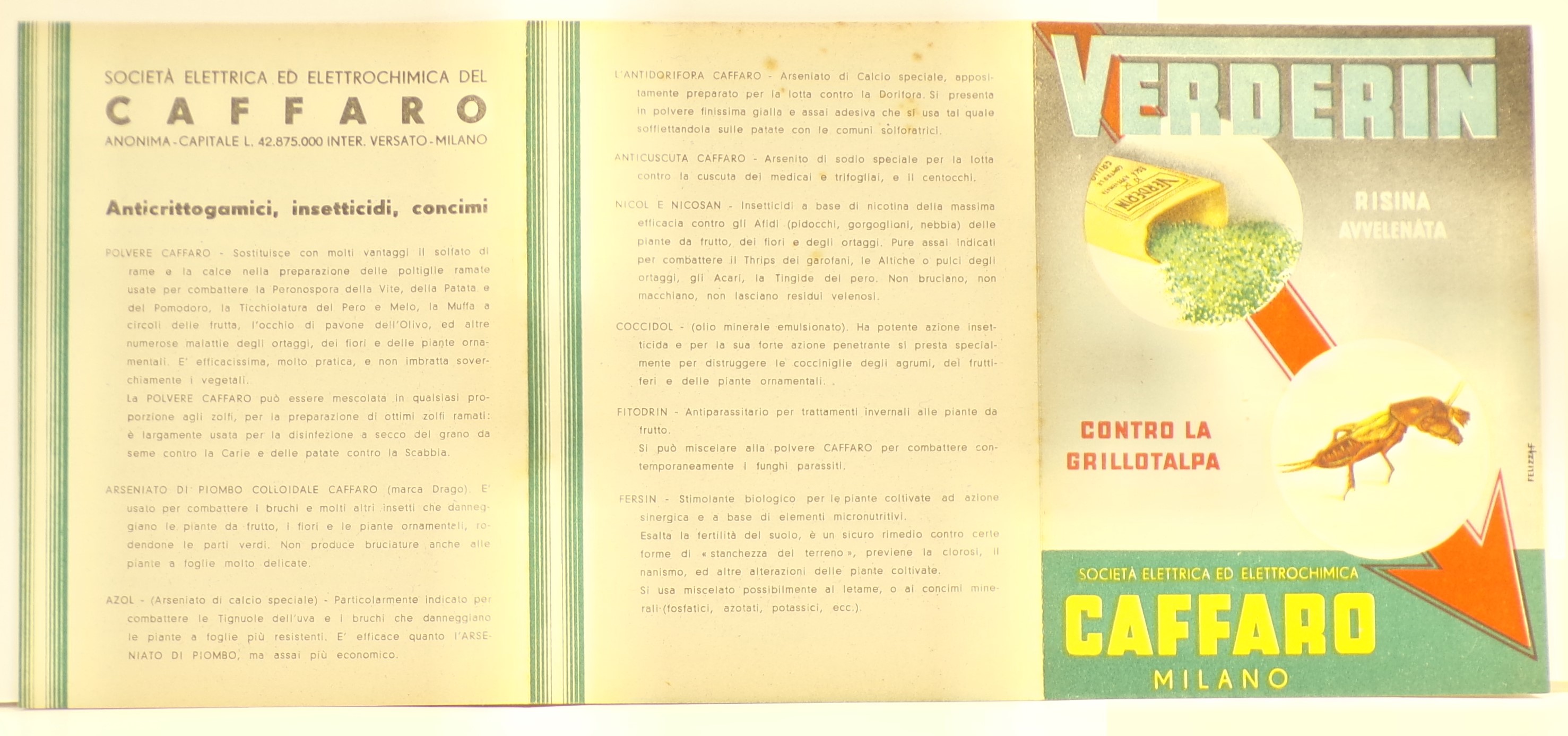 Verderin risina avvelenata contro la grillotalpa, Entro tondi, in sovraimpressione sopra freccia rossa diagonale, confezione aperta di Verderin con risina rovesciata a terra e immagine di grillotalpa (Volantino) - ambito milanese (metà XX)