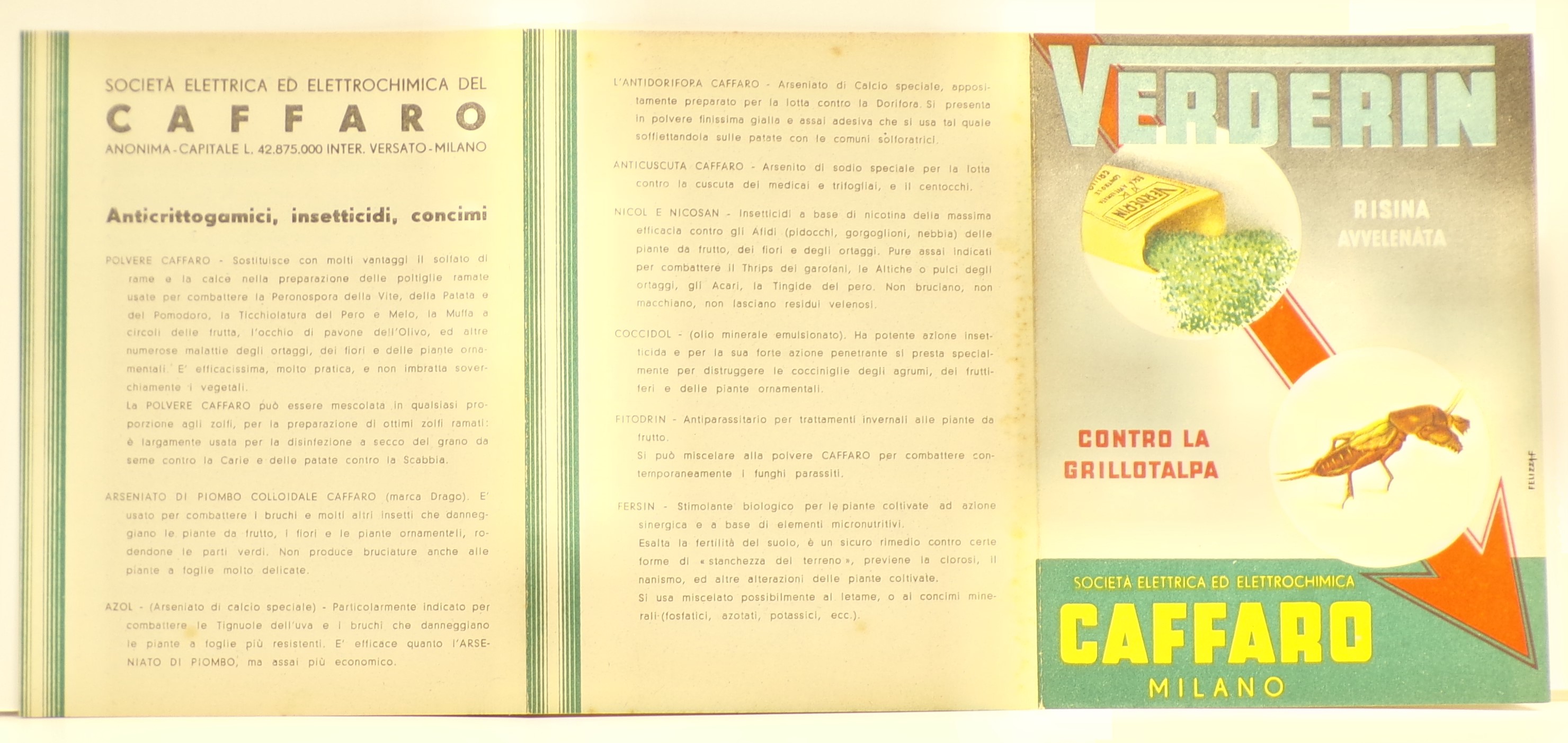 Verderin risina avvelenata contro la grillotalpa, Entro tondi, in sovraimpressione sopra freccia rossa diagonale, confezione aperta di Verderin con risina rovesciata a terra e immagine di grillotalpa (Volantino) - ambito milanese (metà XX)