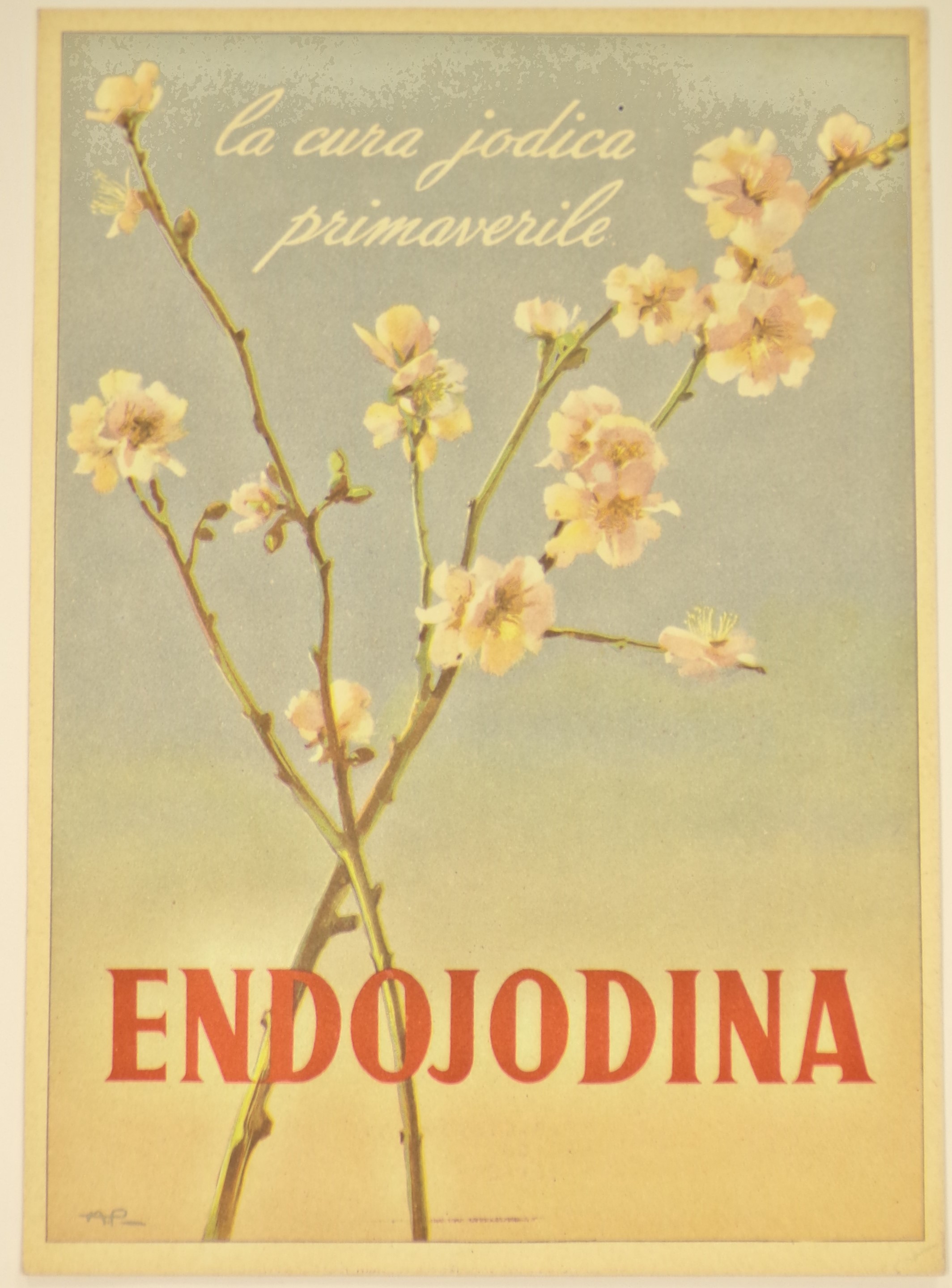 Endojodina la cura jodica primaverile, Rami di mandorlo in fiore su sfondo di cielo azzurro (locandina) - ambito milanese (metà XX)