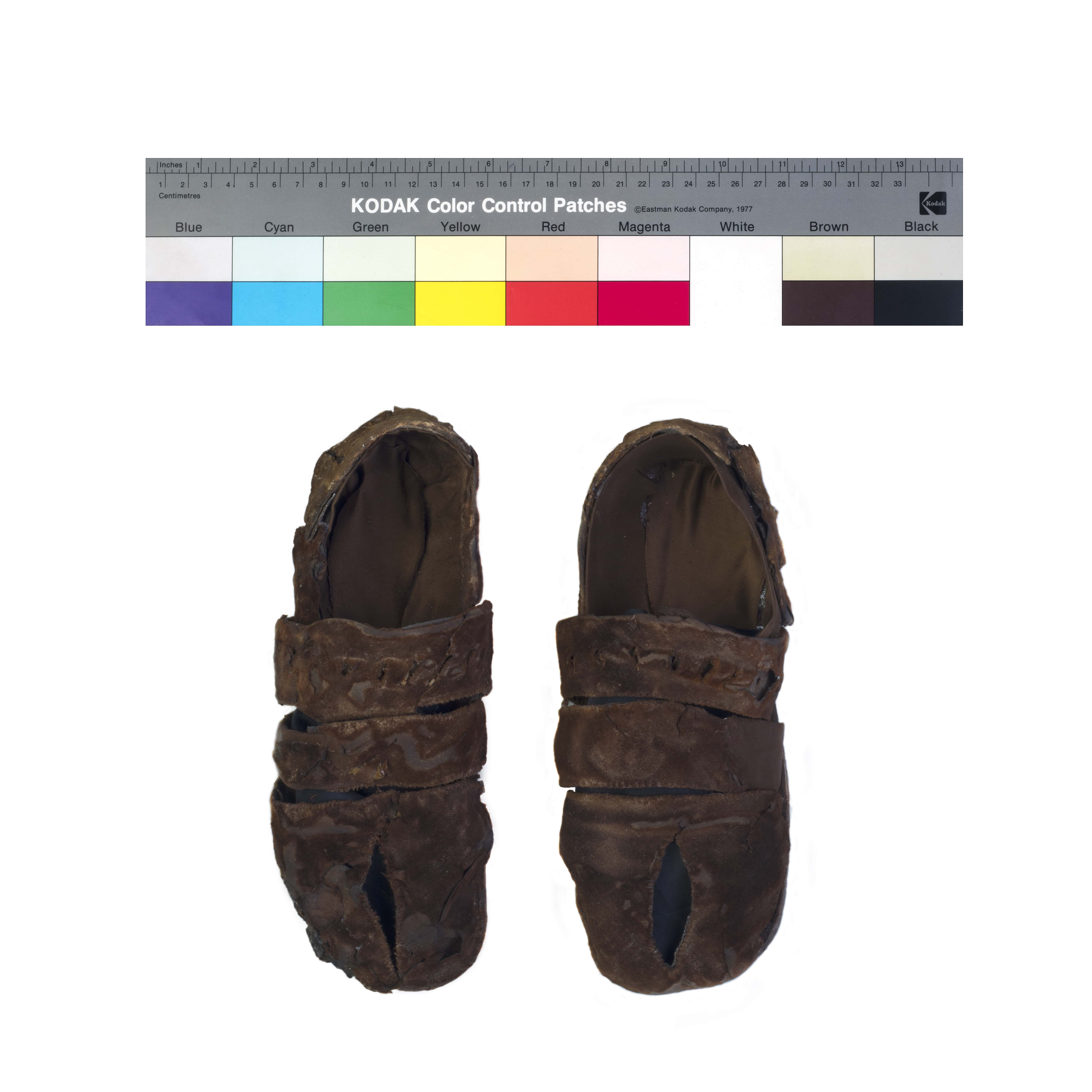 scarpa, funebre (primo quarto XVI)