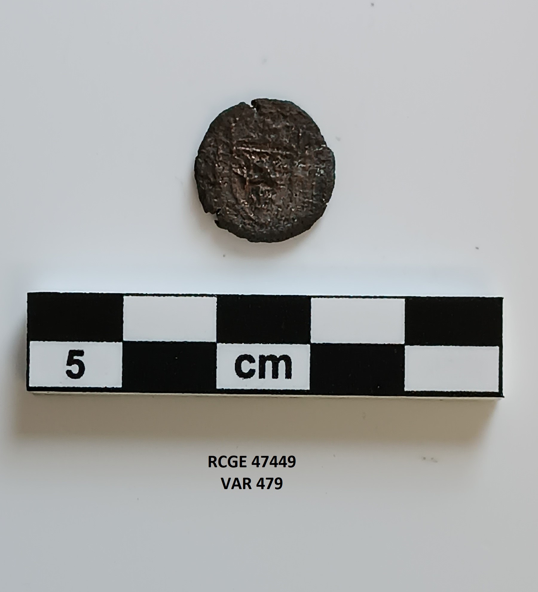 peso monetale - Scudo - ambito medievale (SECOLI/ ARCHI DI SECOLI/ XIV-XV)