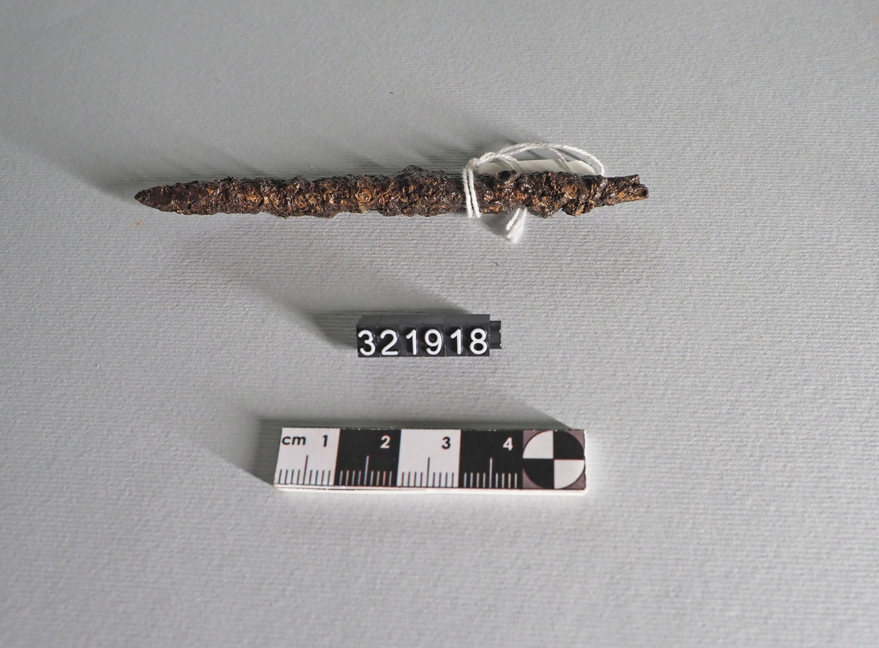 chiodo/ gambo - produzione metapontina (?) (primo quarto VI a.C)