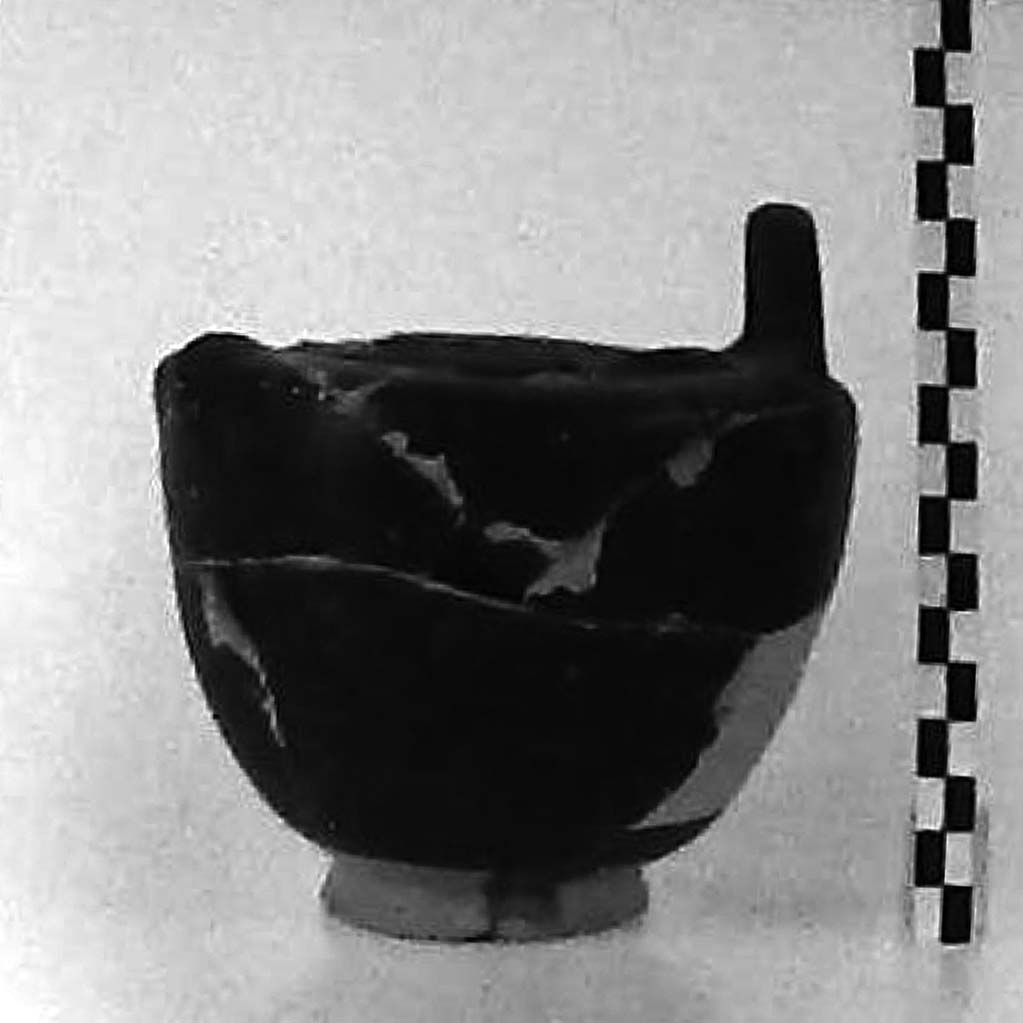 pisside/ stamnoide (IV a.C)