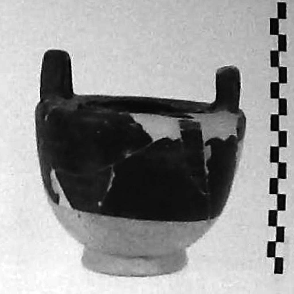 pisside/ stamnoide (IV a.C)