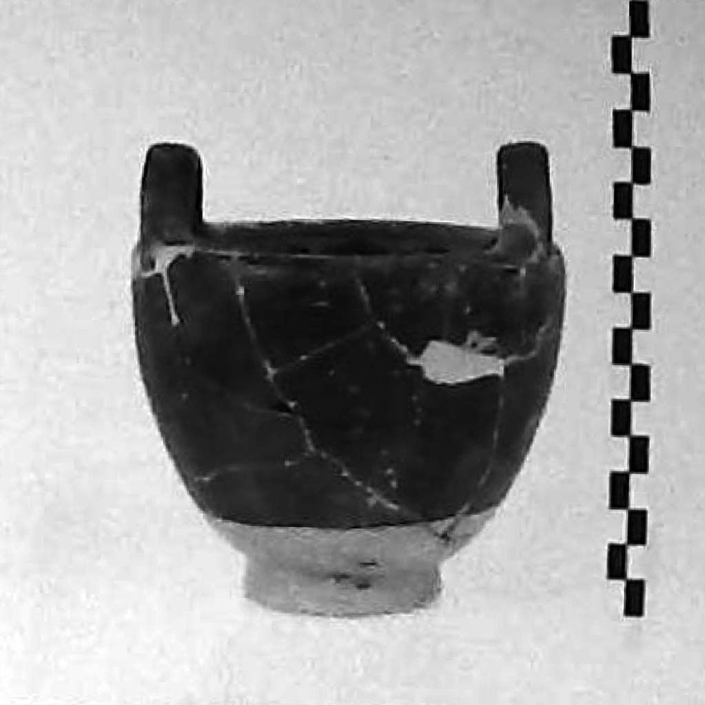 pisside/ stamnoide (IV a.C)