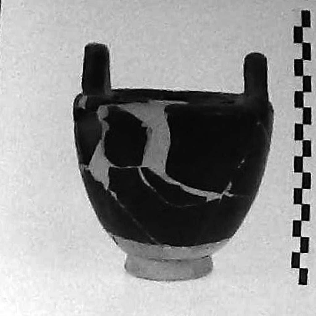 pisside/ stamnoide (IV a.C)