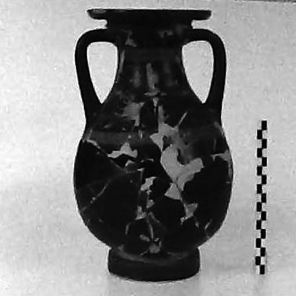 pelike (terzo quarto IV a.C)