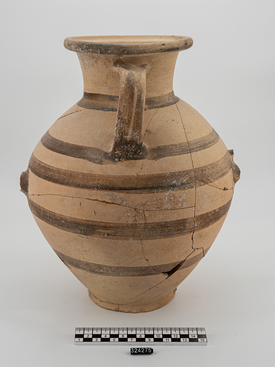 hydria - Produzione ionica (?) (prima metà VI a.C)