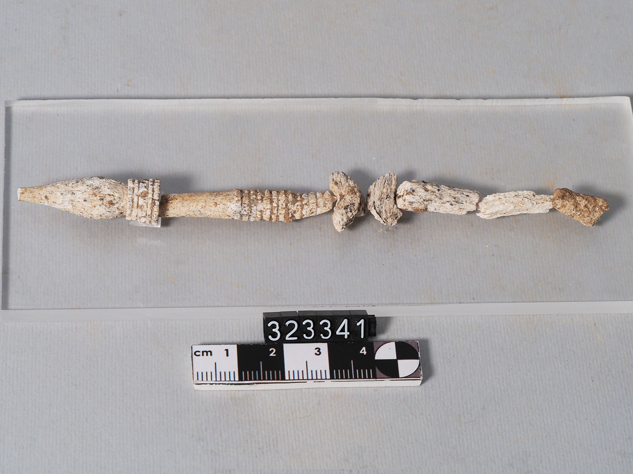 fuso - Produzione magnogreca (inizio III a.C)