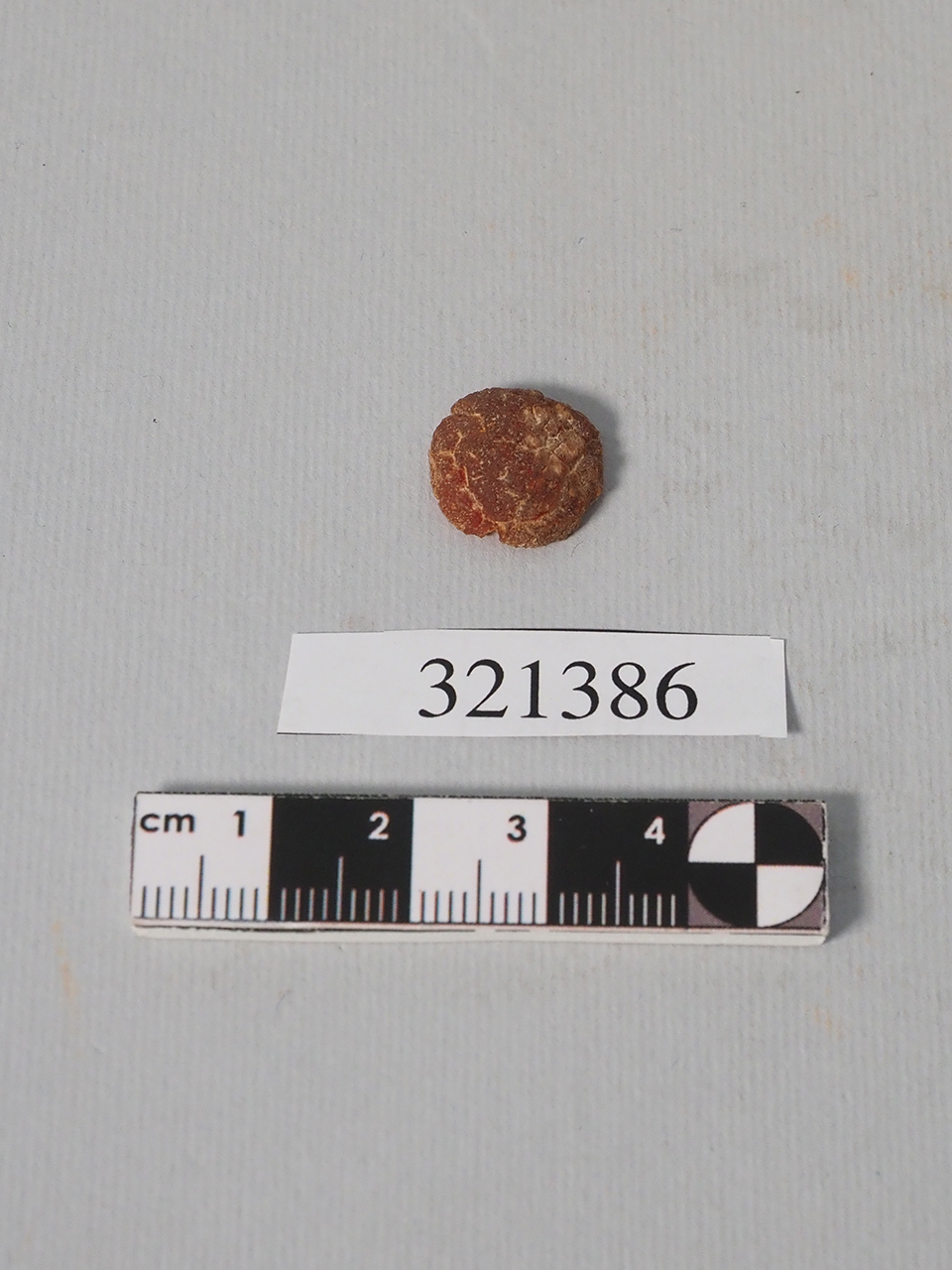 elemento decorativo - Produzione magnogreca (?) (inizio VI a.C)