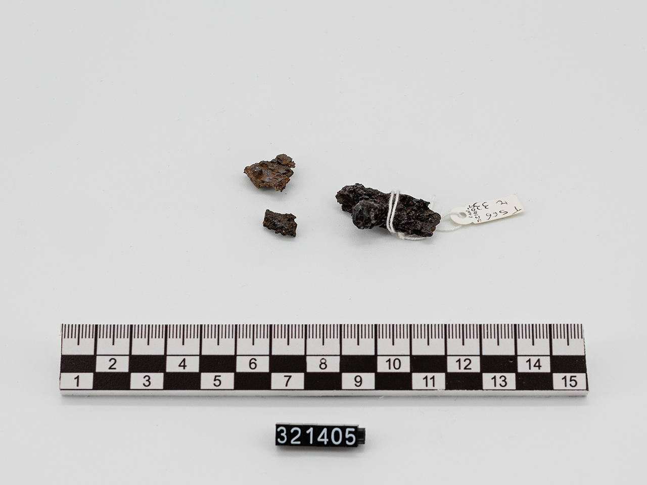 lama - Produzione magnogreca (?) (inizio VI a.C)