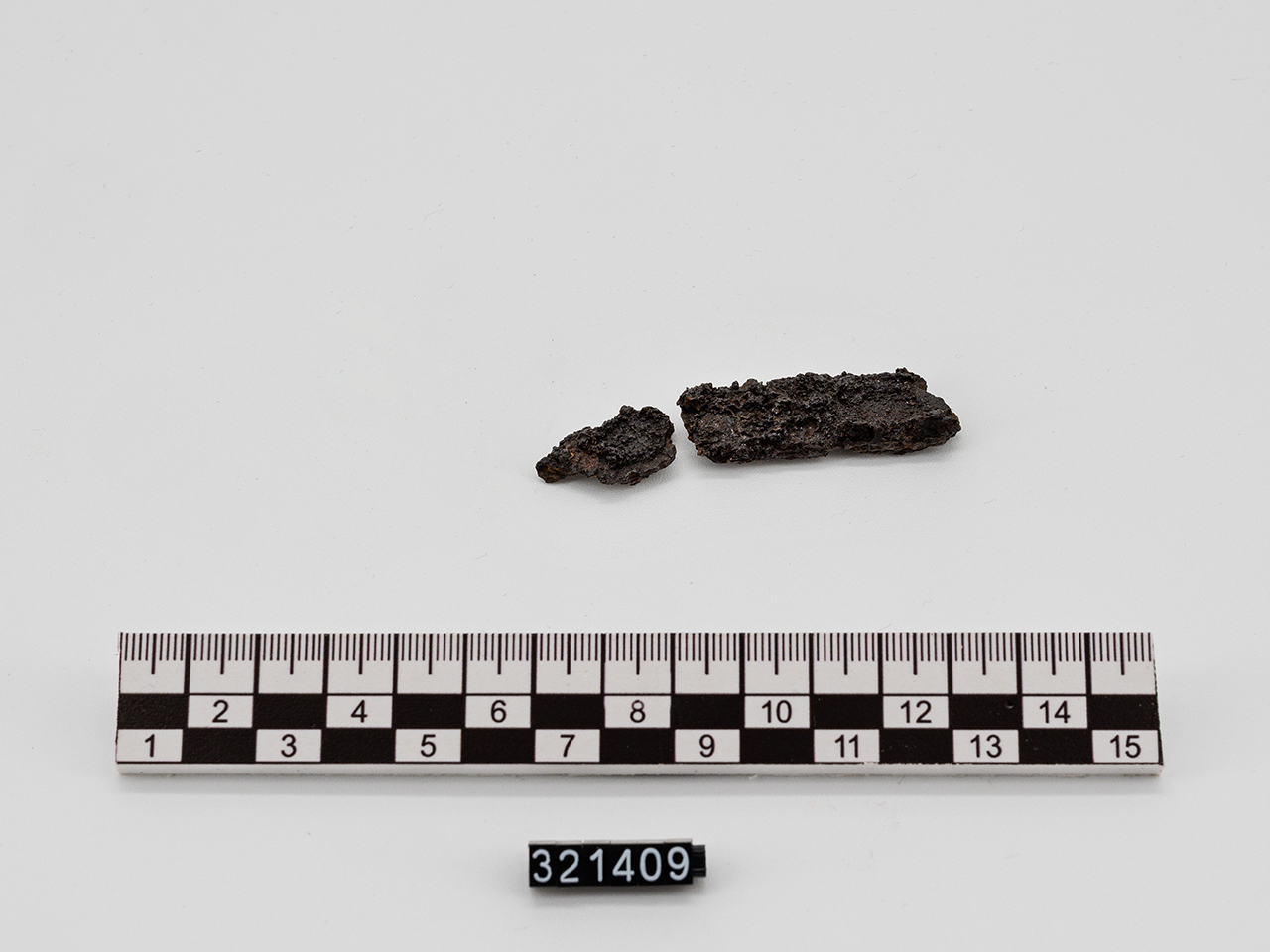 lama - Produzione magnogreca (?) (inizio VI a.C)