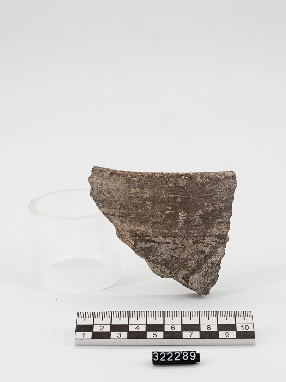 vaso/ orlo - Produzione enotria (Età del Bronzo recente)