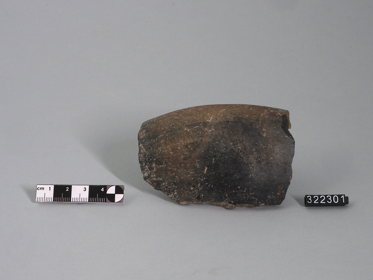 ciotola - Produzione enotria (Età del Bronzo recente)