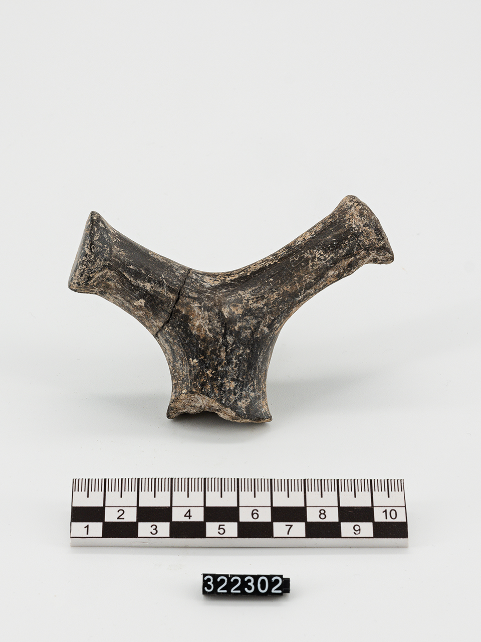 vaso/ ansa - Produzione enotria (Età del Bronzo recente)