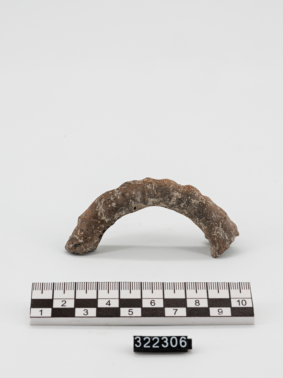 vaso/ ansa - Produzione enotria (Età del Bronzo recente)