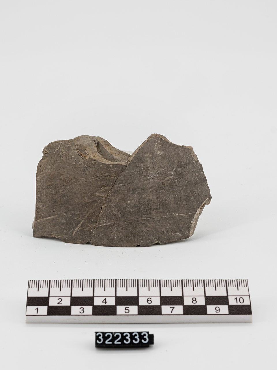 vaso/ parete - Produzione italo-micenea (Età del Bronzo recente)