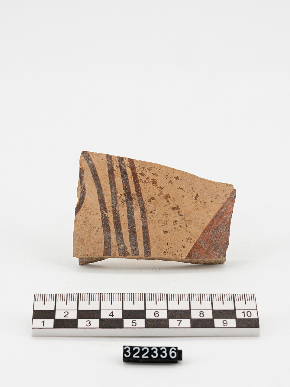 olla/ parete - Produzione italo-micenea (Età del Bronzo recente)