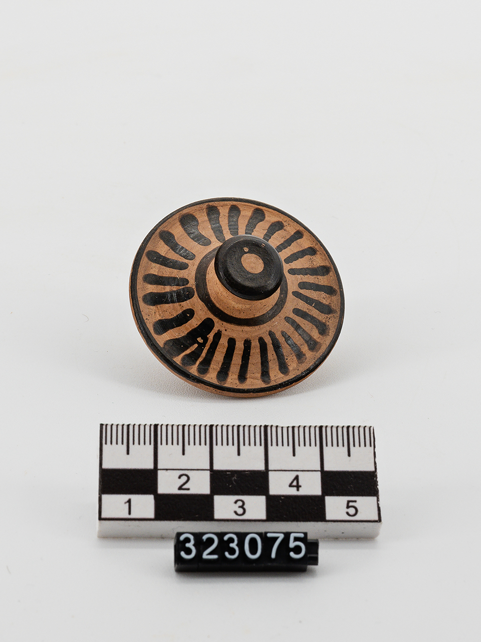 coperchio - Produzione apula (IV a.C)