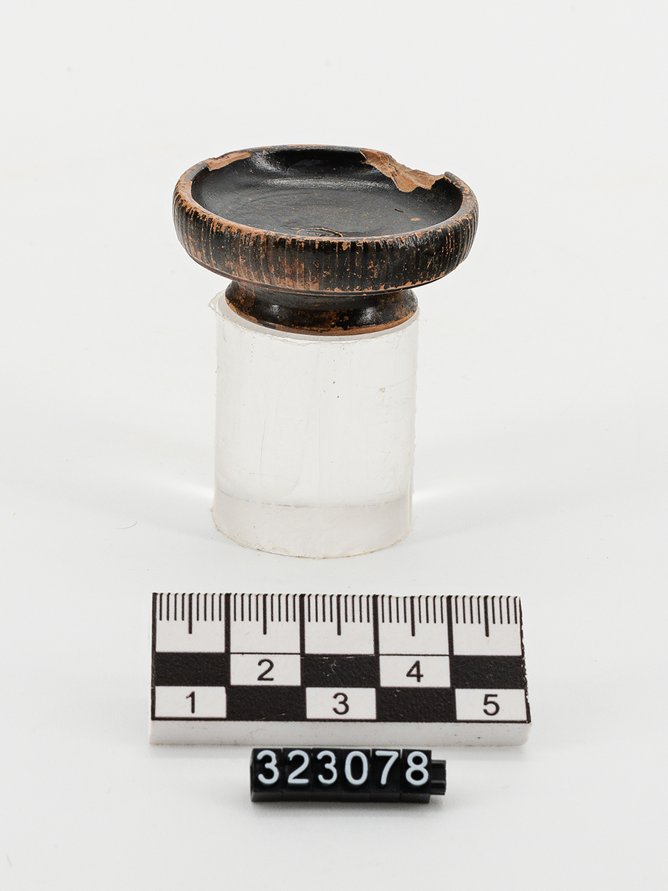 patera - Produzione metapontina (fine IV a.C)