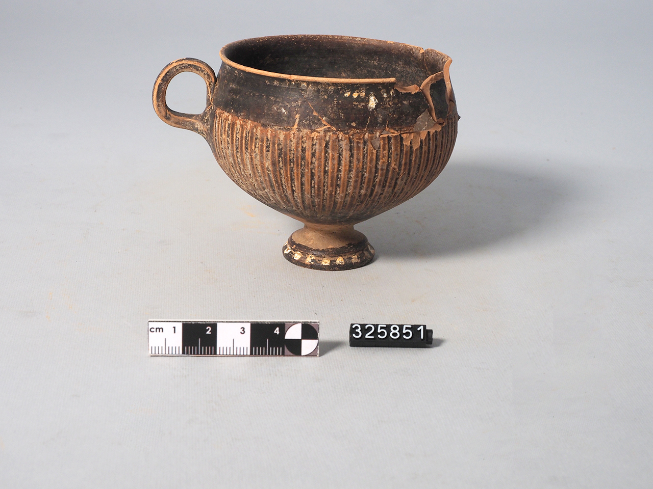 tazza (III a.C)