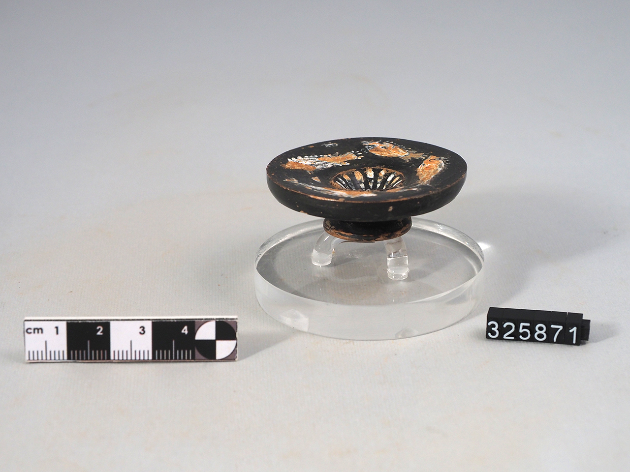 piatto/ da pesce (III a.C)