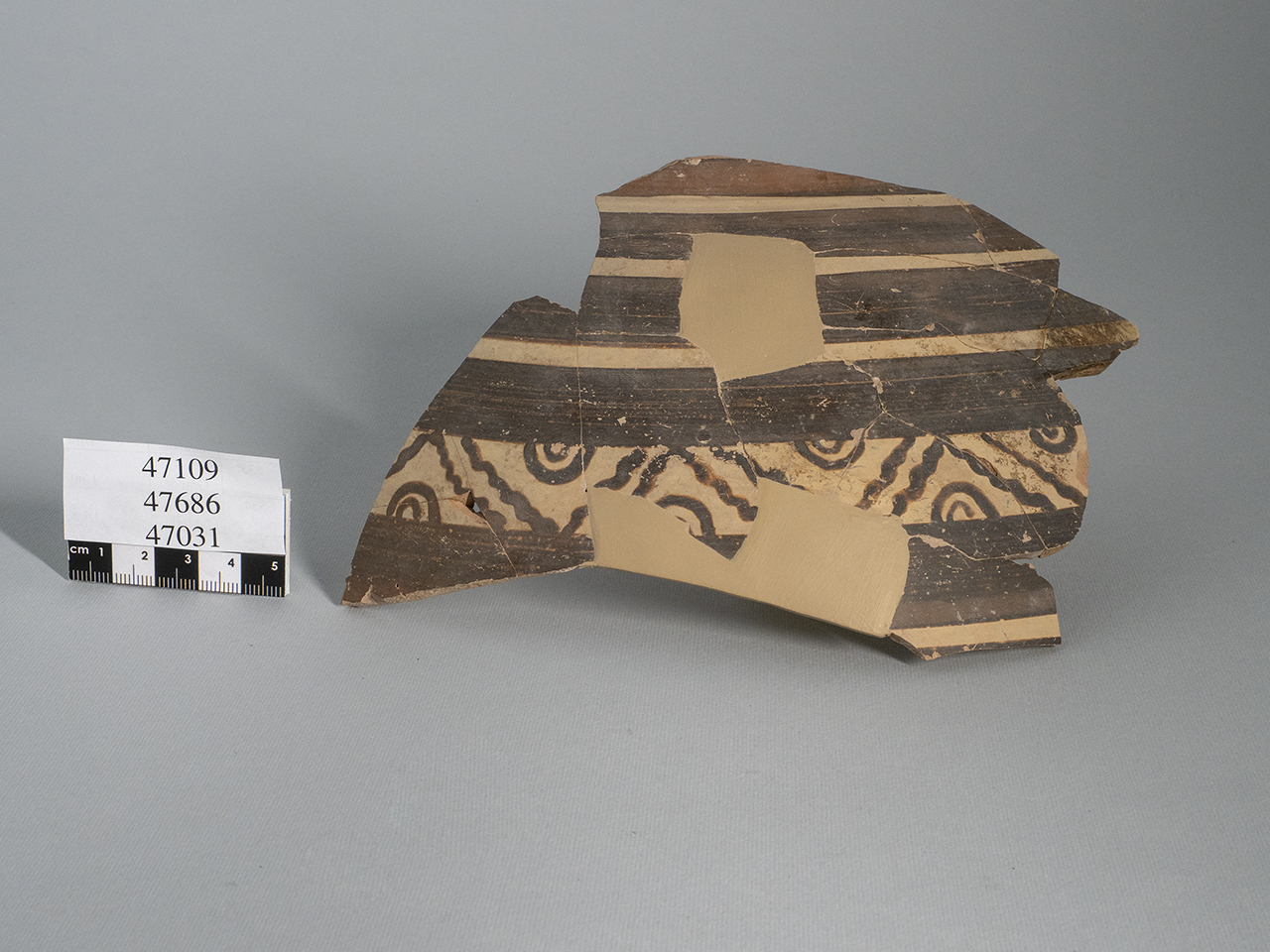 olla/ parete - italo-miceneo (PERIODIZZAZIONI/ PROTOSTORIA/ Età del Bronzo/ Età del Bronzo recente)