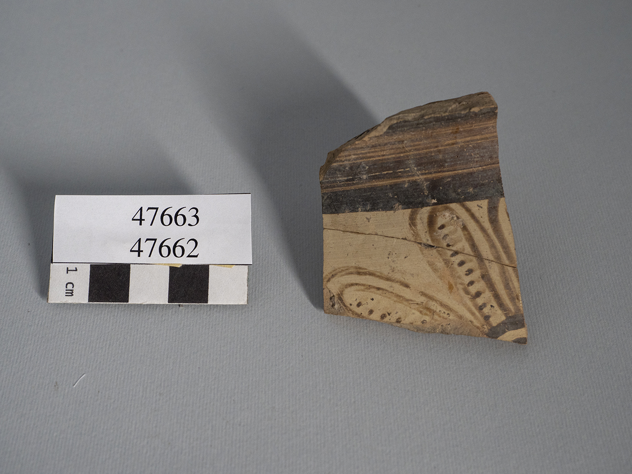 frammento - italo-miceneo (PERIODIZZAZIONI/ PROTOSTORIA/ Età del Bronzo/ Età del Bronzo recente)