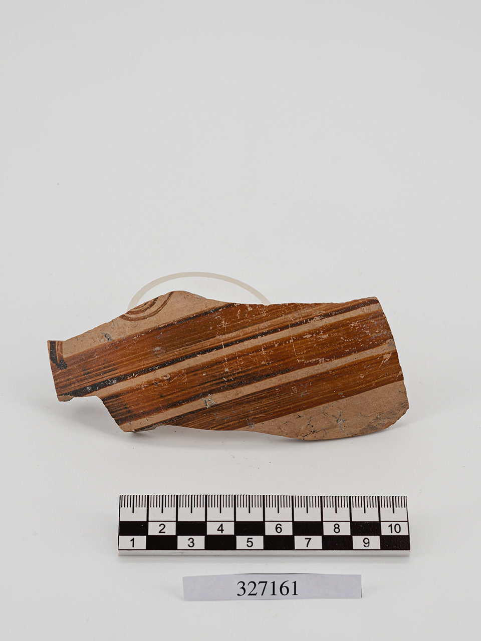 frammento - italo-miceneo (PERIODIZZAZIONI/ PROTOSTORIA/ Età del Bronzo/ Età del Bronzo recente)