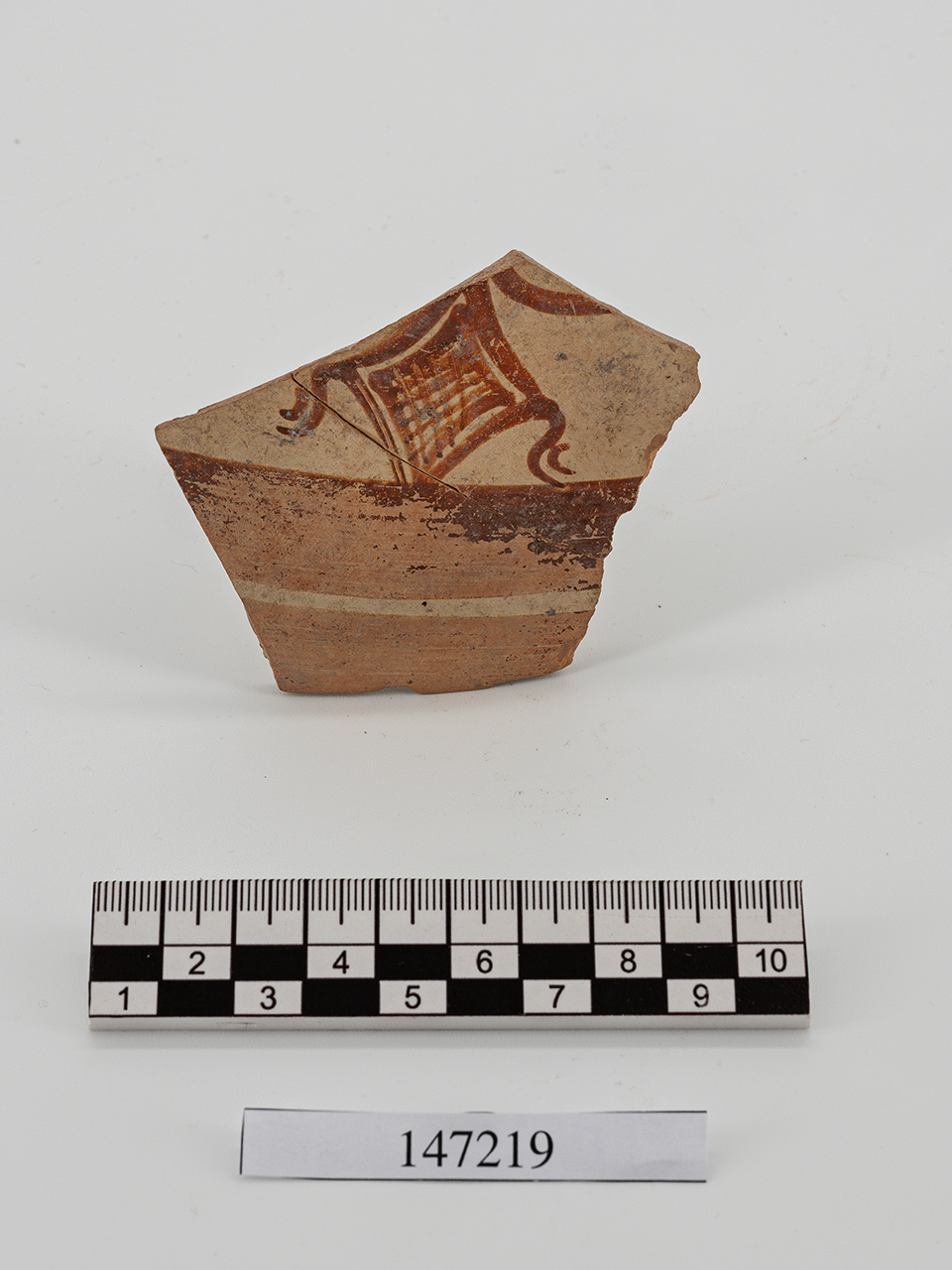 frammento - italo-miceneo (PERIODIZZAZIONI/ PROTOSTORIA/ Età del Bronzo/ Età del Bronzo recente)