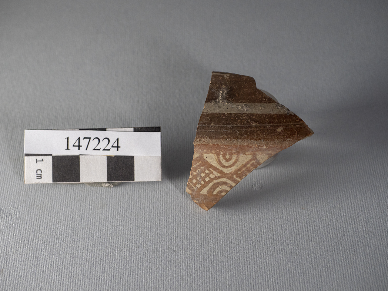 coppa/ parete - italo-miceneo (PERIODIZZAZIONI/ PROTOSTORIA/ Età del Bronzo/ Età del Bronzo recente)