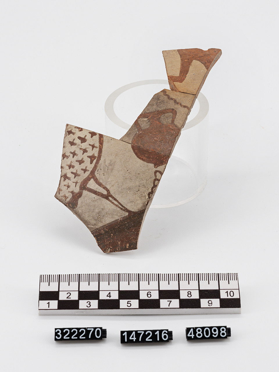 frammento - italo-miceneo (PERIODIZZAZIONI/ PROTOSTORIA/ Età del Bronzo/ Età del Bronzo recente)