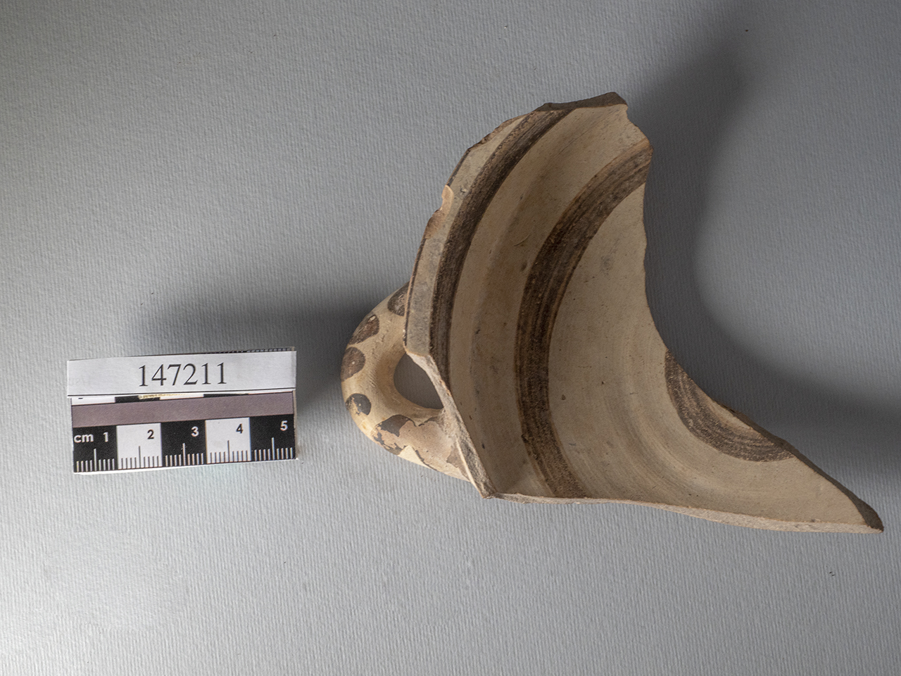 frammento - italo-miceneo (PERIODIZZAZIONI/ PROTOSTORIA/ Età del Bronzo/ Età del Bronzo recente)