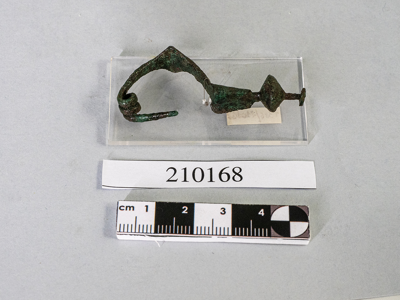 fibula (seconda metà SECOLI/ IV a.C)