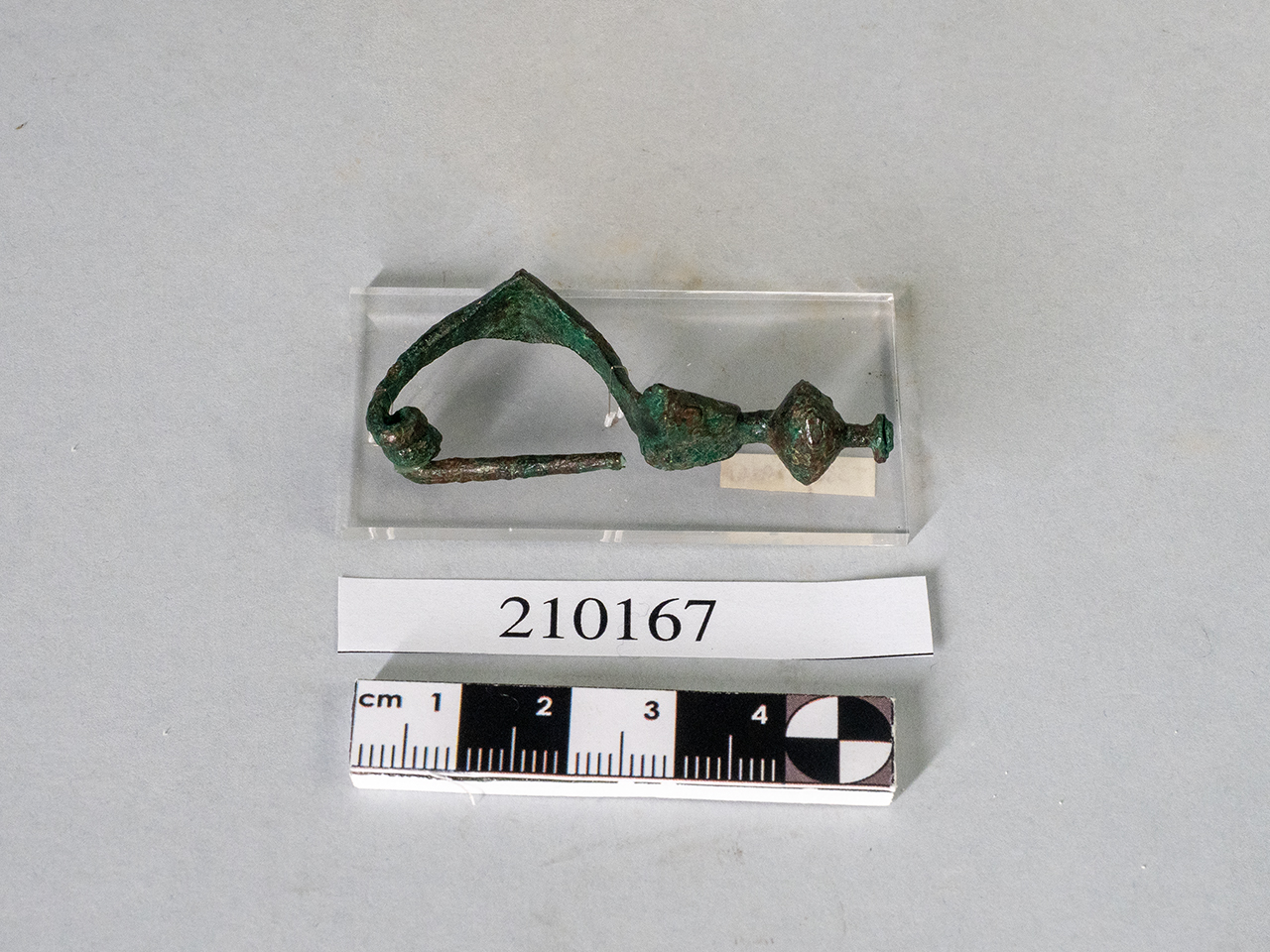 fibula (seconda metà SECOLI/ IV a.C)