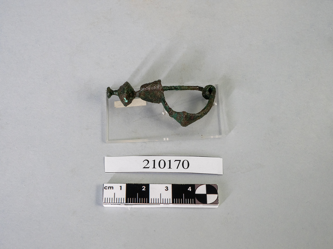 fibula, ad arco (seconda metà SECOLI/ IV a.C)