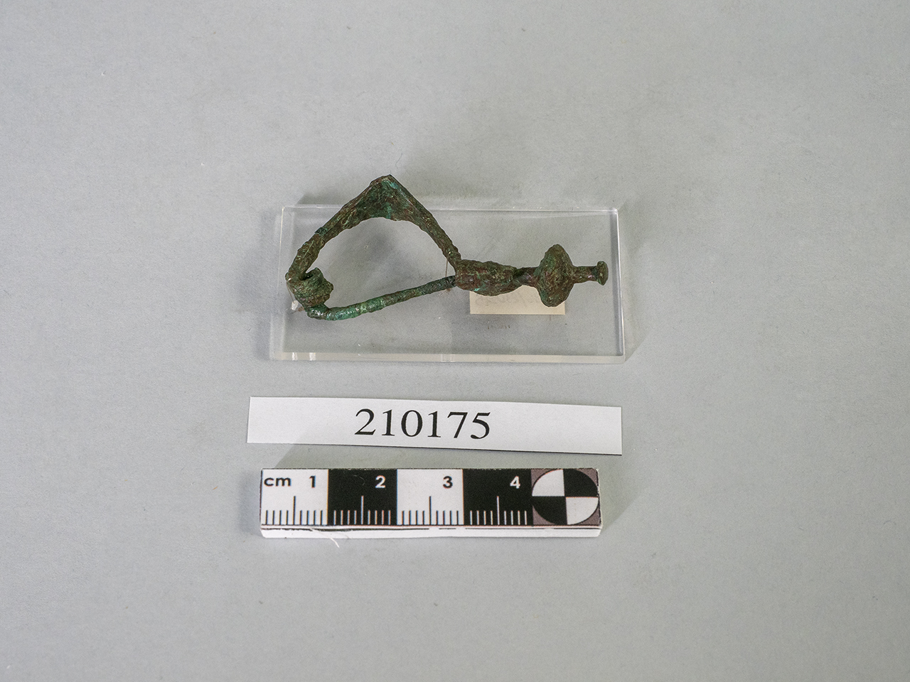fibula (seconda metà SECOLI/ IV a.C)