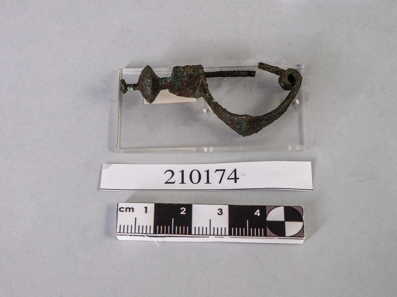 fibula (seconda metà SECOLI/ IV a.C)