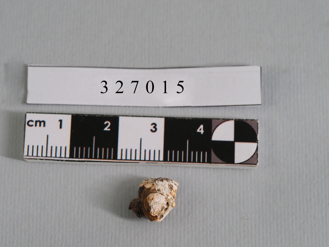 applique (seconda metà SECOLI/ V a.C)