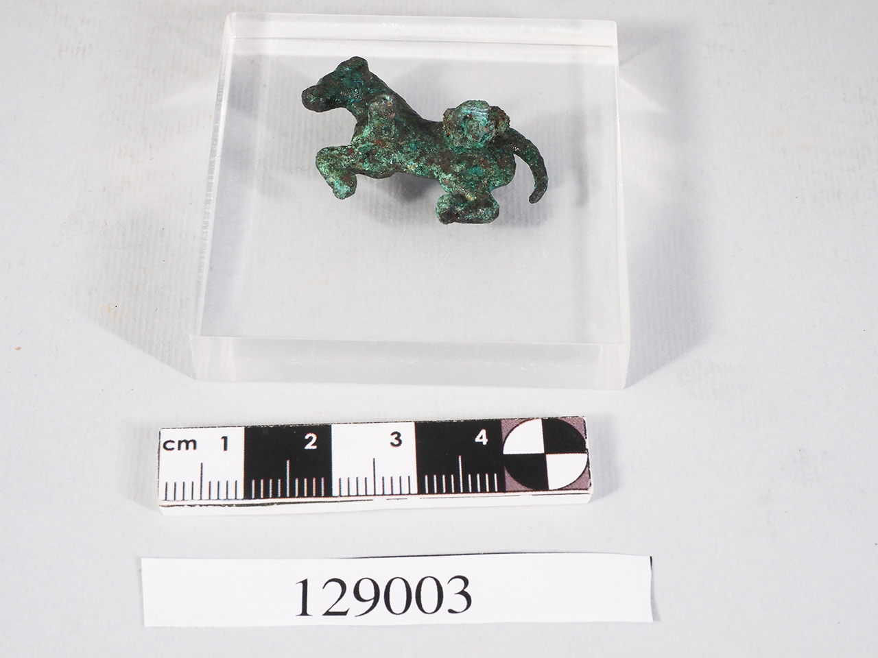 fibula/ staffa (prima metà SECOLI/ VII)