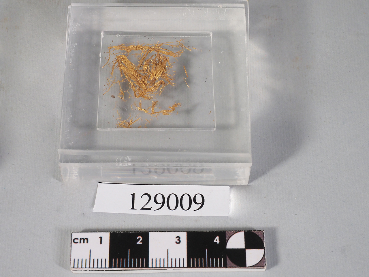 filo (prima metà SECOLI/ VII)