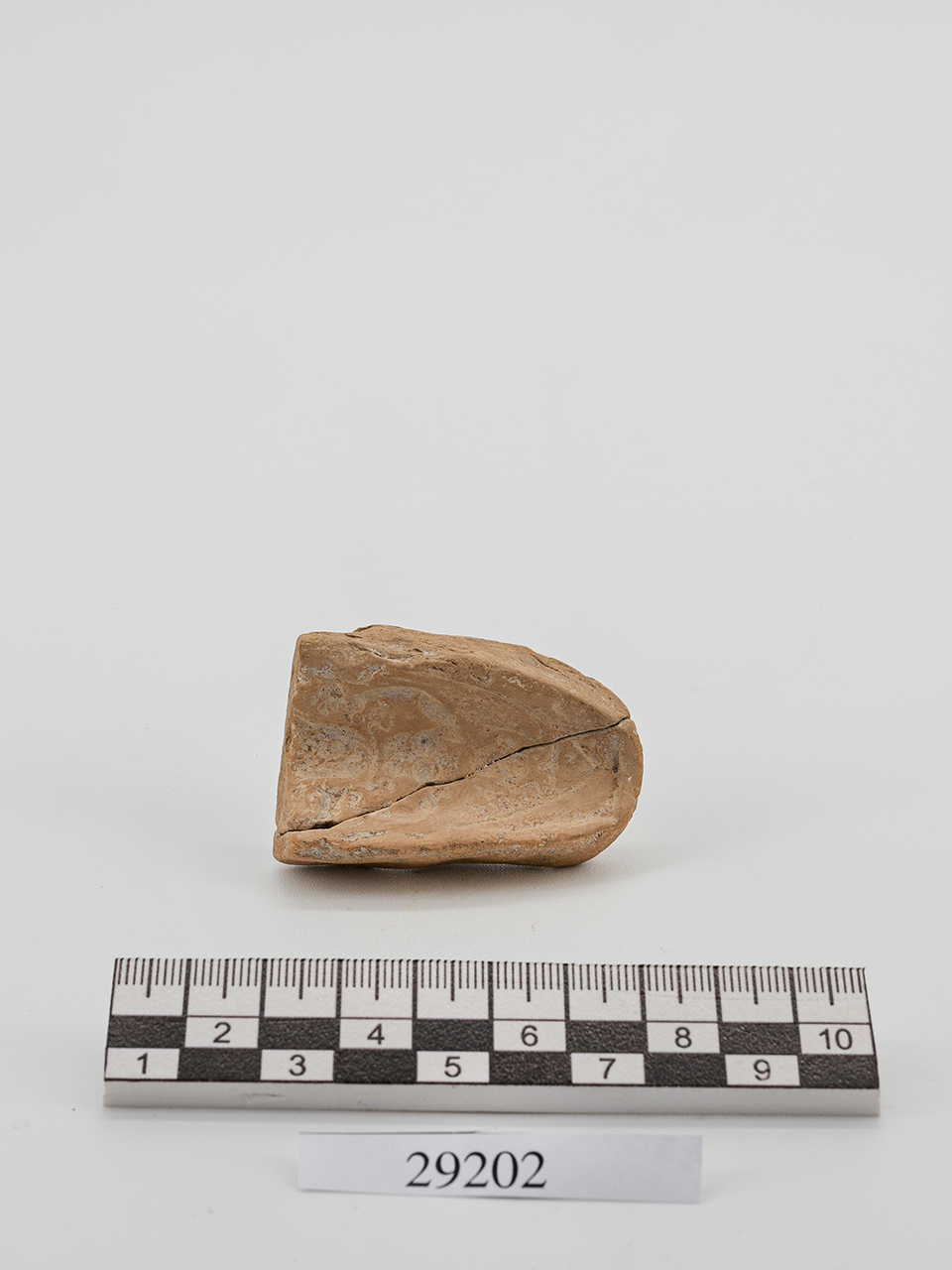 matrice (PERIODIZZAZIONI/ STORIA/ Età antica/ Età greca/ Età ellenistica)