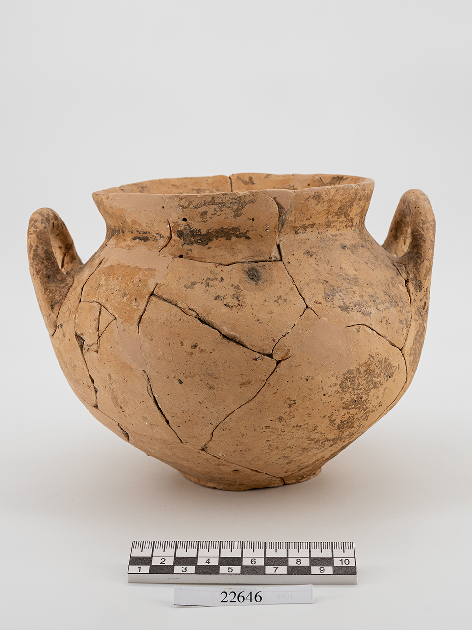 olla/ biansata (PERIODIZZAZIONI/ PROTOSTORIA/ Età del Ferro/ Seconda età del Ferro)