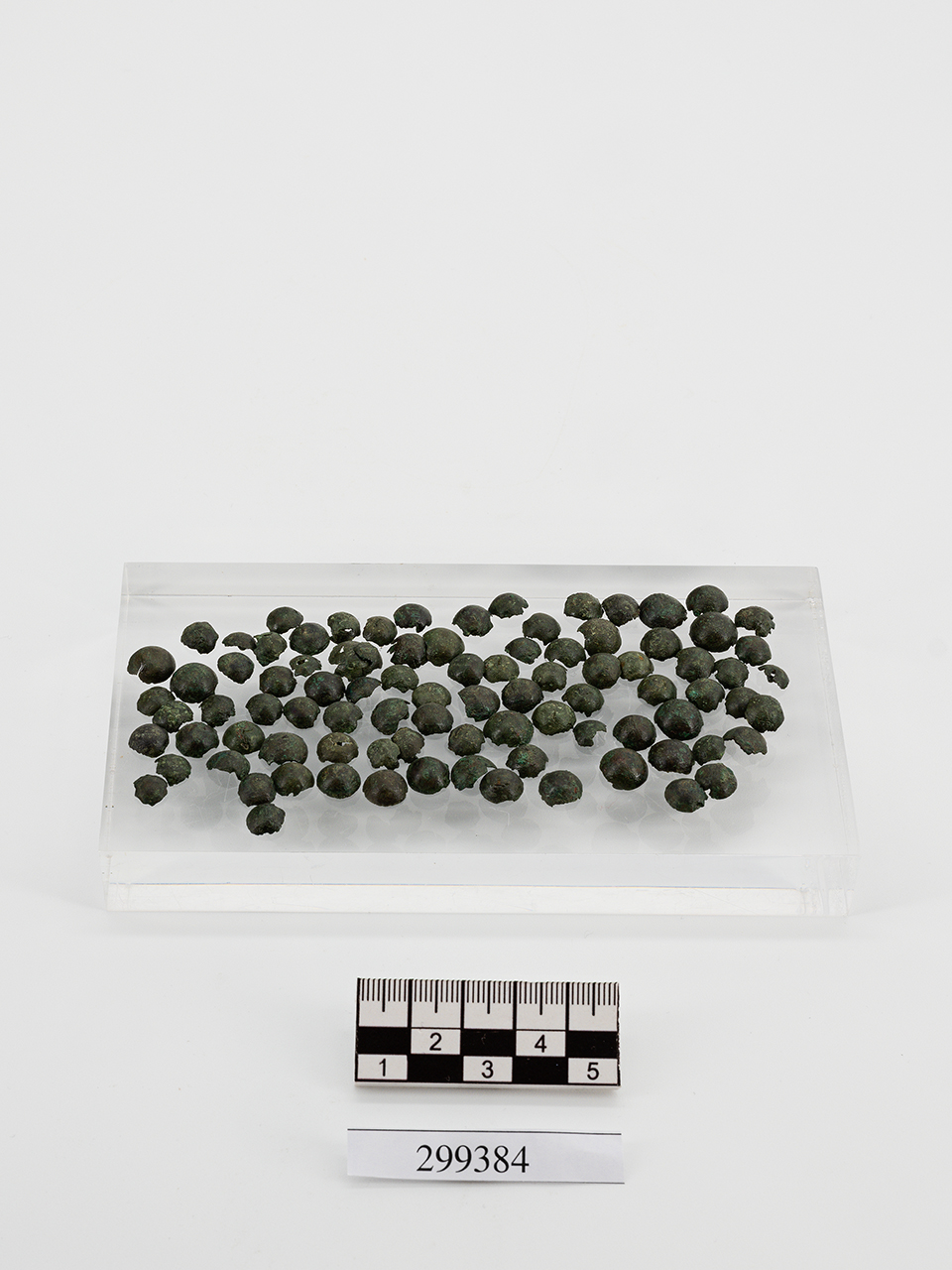 bottoncini (PERIODIZZAZIONI/ PROTOSTORIA/ Età del Ferro/ Media età del Ferro)