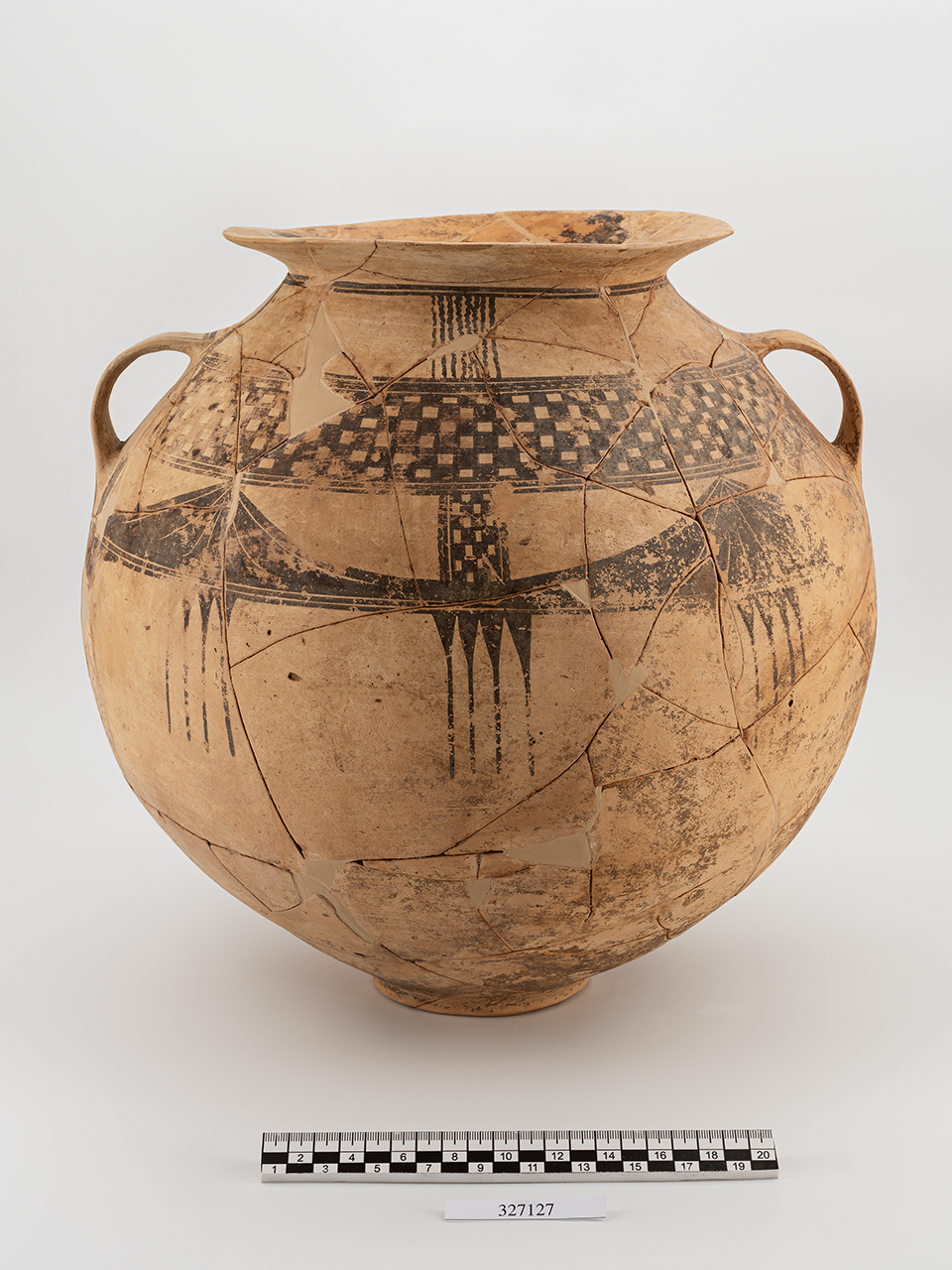 olla/ biansata (PERIODIZZAZIONI/ PROTOSTORIA/ Età del Ferro/ Seconda età del Ferro)